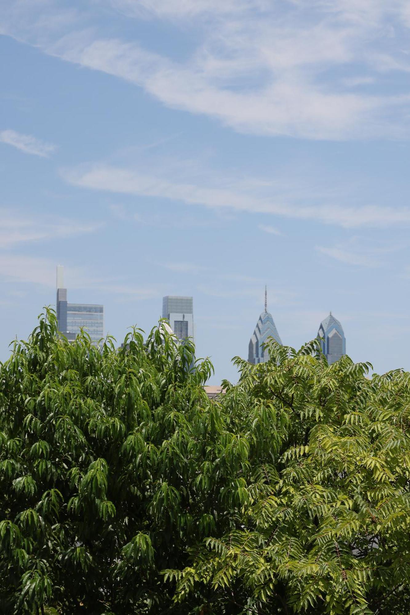 Peaceful Zen Getaway In The City 费城 外观 照片